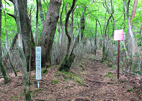 2.鳥獣保護区・高山植物採取禁止表示板前（5分）