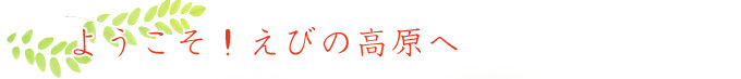 ようこそ！えびの高原へ